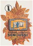 Sensoussi 1929 0.jpg